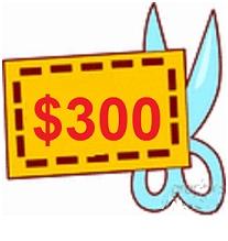 $300 Coupon